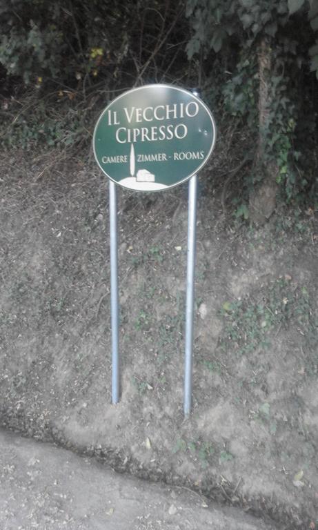 Apartamento Il Vecchio Cipresso San Gimignano Exterior foto